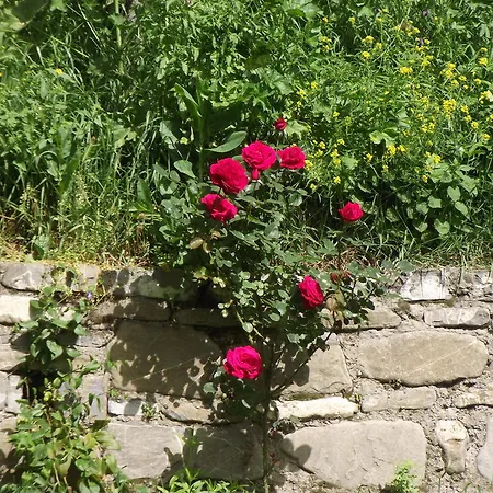 Pasa Konagi Hotel Safranbolu